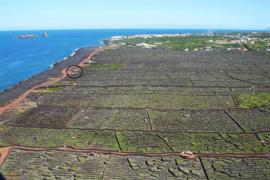 Ocean View In Unesco Heritage Site Criacao Velha Exterior photo